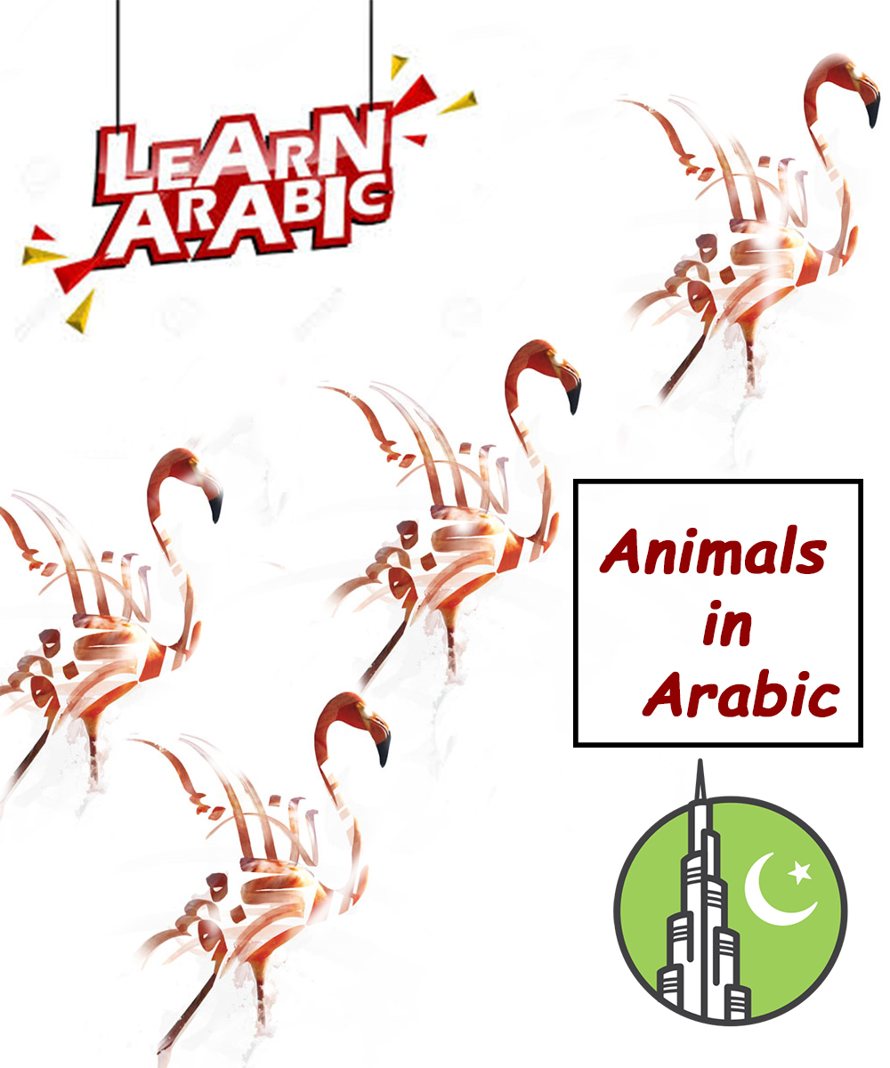 Animals in Arabic